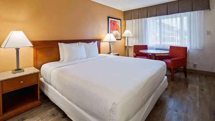Standard Oda, 1 En Büyük (King) Boy Yatak, Sigara İçilmez, Buzdolabı ve Mikrodalga (Pet Friendly)