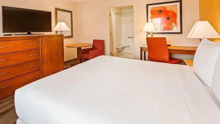 Standard Oda, 1 En Büyük (King) Boy Yatak, Sigara İçilmez, Buzdolabı ve Mikrodalga (Pet Friendly)
