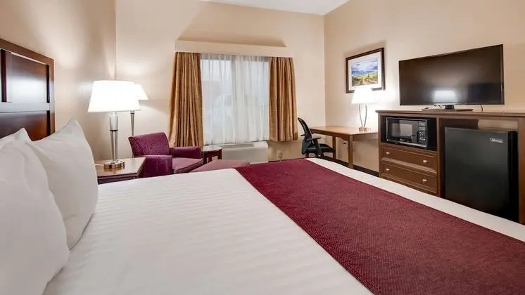 Standard Oda, 1 En Büyük (King) Boy Yatak, Mikrodalga, Üzüm Asması Manzaralı