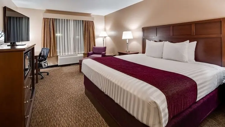 Standard Oda, 1 En Büyük (King) Boy Yatak, Mikrodalga, Üzüm Asması Manzaralı