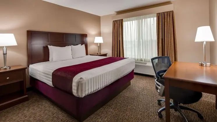 Süit, 1 En Büyük (King) Boy Yatak ve Çekyat, Buzdolabı ve Mikrodalga (with Sofabed)