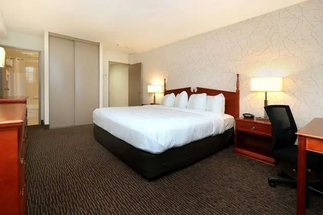 Executive Oda, 1 En Büyük (King) Boy Yatak, Sigara İçilmez, Buzdolabı ve Mikrodalga (Oversized Room)