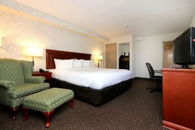 Executive Oda, 1 En Büyük (King) Boy Yatak, Sigara İçilmez, Buzdolabı ve Mikrodalga (Oversized Room)