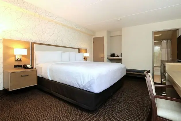 Executive Oda, 1 En Büyük (King) Boy Yatak, Sigara İçilmez, Buzdolabı ve Mikrodalga (Oversized Room)