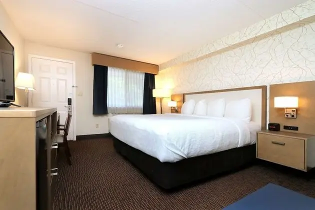 Executive Oda, 1 En Büyük (King) Boy Yatak, Sigara İçilmez, Buzdolabı ve Mikrodalga (Oversized Room)