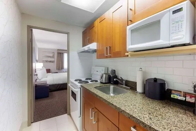 Executive Oda, 1 En Büyük (King) Boy Yatak, Sigara İçilmez, Buzdolabı ve Mikrodalga (Oversized Room)