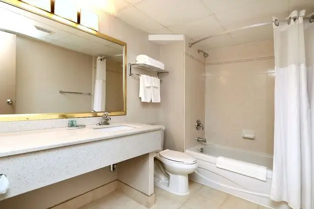 Executive Oda, 1 En Büyük (King) Boy Yatak, Sigara İçilmez, Buzdolabı ve Mikrodalga (Oversized Room)