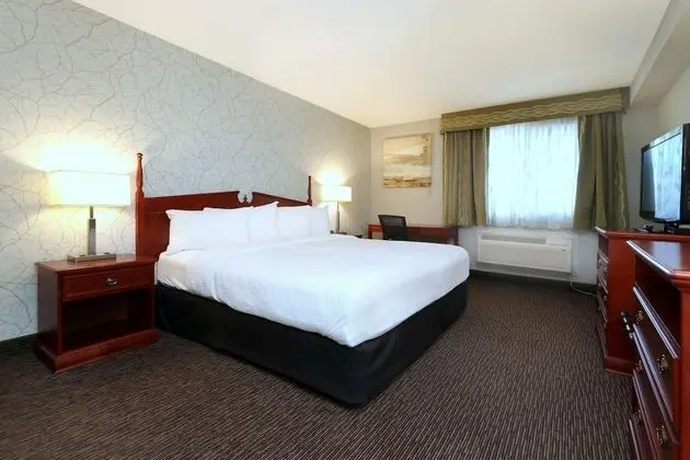 Süit, 1 En Büyük (King) Boy Yatak, Sigara İçilmez, Küçük Mutfak (Oversized Room;with Sofabed)