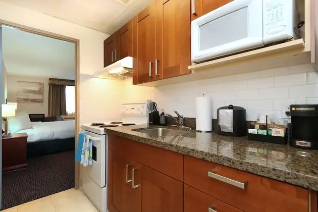 Süit, 1 En Büyük (King) Boy Yatak, Sigara İçilmez, Küçük Mutfak (Oversized Room;with Sofabed)
