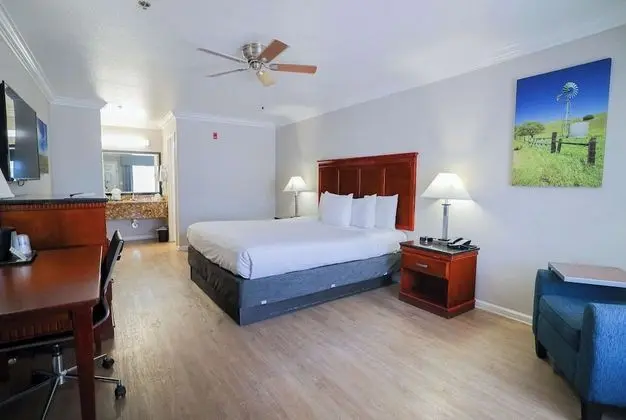 Standard Oda, 1 En Büyük (King) Boy Yatak, Sigara İçilmez, Buzdolabı ve Mikrodalga (Pet Friendly)