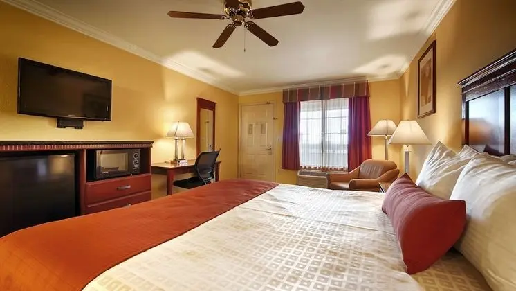 Standard Oda, 1 En Büyük (King) Boy Yatak, Sigara İçilmez, Buzdolabı ve Mikrodalga (Pet Friendly)