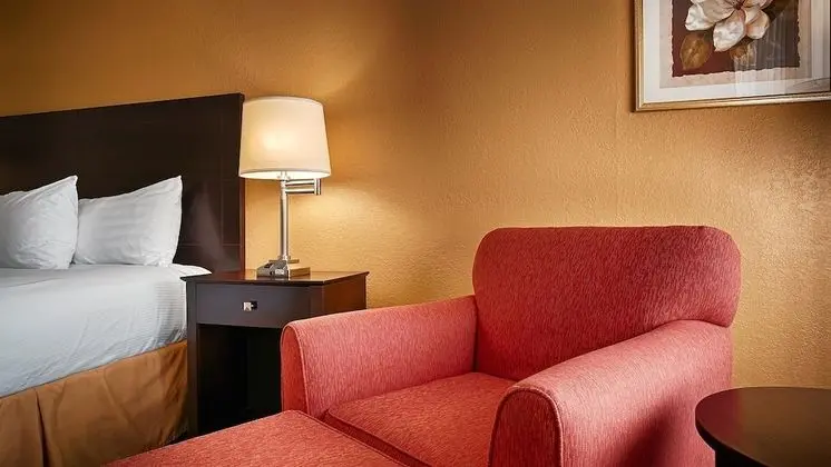 Standard Oda, 1 En Büyük (King) Boy Yatak, Sigara İçilmez, Buzdolabı ve Mikrodalga (Pet Friendly)