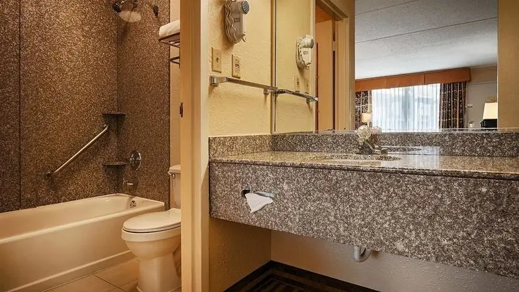 Standard Oda, 1 En Büyük (King) Boy Yatak, Sigara İçilmez, Buzdolabı ve Mikrodalga (Pet Friendly)