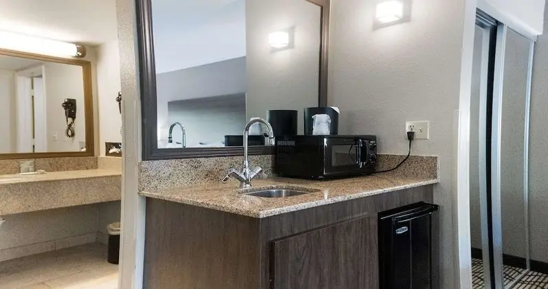 Standard Oda, 1 En Büyük (King) Boy Yatak, Sigara İçilmez, Buzdolabı ve Mikrodalga (Walk-in Shower)