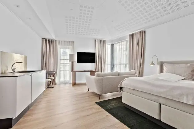 Executive Süit, 1 En Büyük (King) Boy Yatak, Sigara İçilmez, Küçük Mutfak