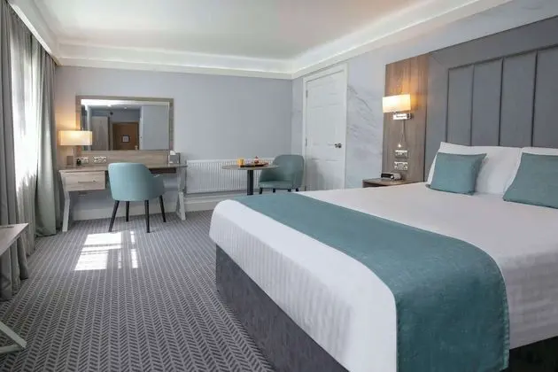 Deluxe Oda, 1 Çift Kişilik Yatak, Sigara İçilmez