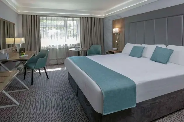 Deluxe Oda, 1 Çift Kişilik Yatak, Sigara İçilmez (with Sofabed)