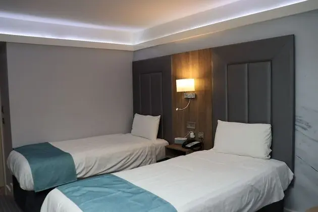 Deluxe Oda, 2 Tek Kişilik Yatak, Sigara İçilmez (with Skylight)
