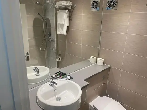 Deluxe Oda, 2 Tek Kişilik Yatak, Sigara İçilmez (with Skylight)