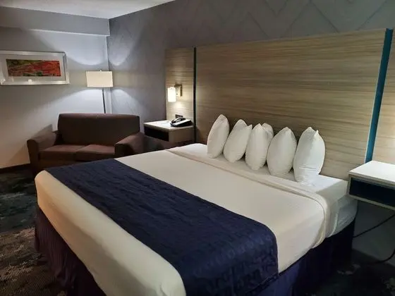 Standard Oda, 1 En Büyük (King) Boy Yatak, Sigara İçilmez (with Single Sofabed)