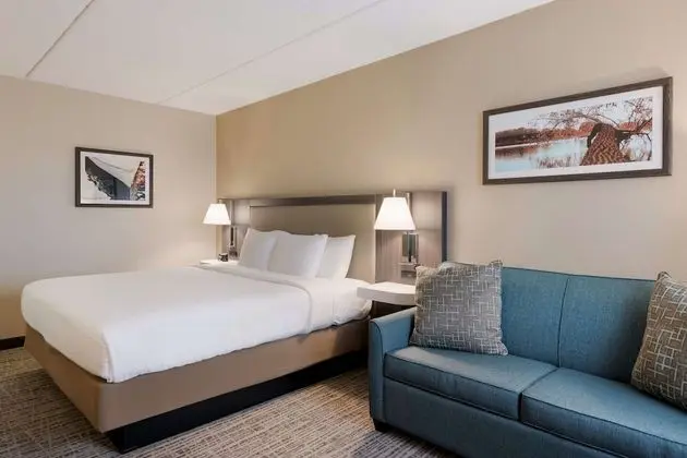 Standard Oda, 1 En Büyük (King) Boy Yatak, Sigara İçilmez, Buzdolabı ve Mikrodalga (Oversized Room)