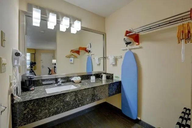 Standard Oda, 2 Büyük (Queen) Boy Yatak, Sigara İçilmez, Buzdolabı ve Mikrodalga (Pet Friendly)