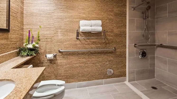 Standard Oda, 1 Çift Kişilik Yatak, Engellilere Uygun, Küvet (Bathtub)