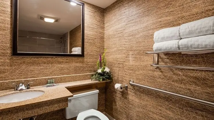 Standard Oda, 1 Çift Kişilik Yatak, Engellilere Uygun, Küvet (Bathtub)