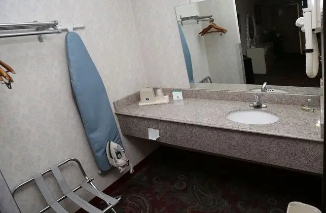 Deluxe Oda, 1 En Büyük (King) Boy Yatak, Sigara İçilmez, Buzdolabı ve Mikrodalga