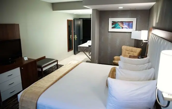 Standard Oda, 1 En Büyük (King) Boy Yatak, Sigara İçilmez (Walk-in Shower)