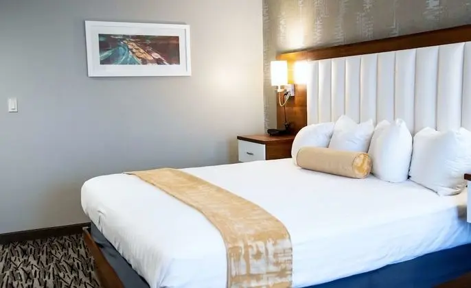 Standard Oda, 1 En Büyük (King) Boy Yatak, Sigara İçilmez (Walk-in Shower)