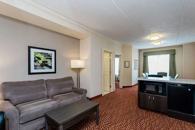 Executive Süit, 1 En Büyük (King) Boy Yatak, Sigara İçilmez, Küçük Mutfak (Living Room)