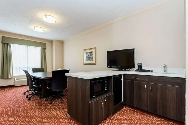 Executive Süit, 1 En Büyük (King) Boy Yatak, Sigara İçilmez, Küçük Mutfak (Living Room)