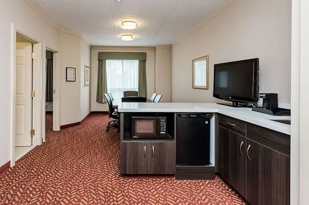 Executive Süit, 1 En Büyük (King) Boy Yatak, Sigara İçilmez, Küçük Mutfak (Living Room)