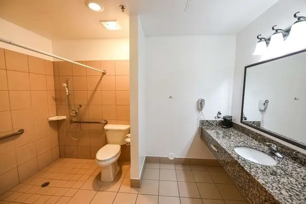 Standard Oda, 1 En Büyük (King) Boy Yatak, Engellilere Uygun, Sigara İçilmez (Walk-in Shower)