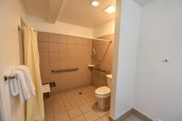 Standard Oda, 1 En Büyük (King) Boy Yatak, Engellilere Uygun, Sigara İçilmez (Walk-in Shower)