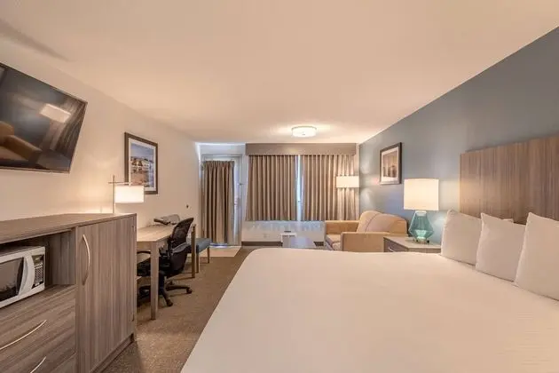 Standard Oda, 1 En Büyük (King) Boy Yatak, Engellilere Uygun, Veranda (Not Pets)