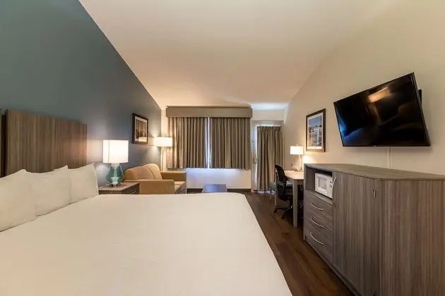 Standard Oda, 1 En Büyük (King) Boy Yatak, Engellilere Uygun, Veranda (Not Pets)