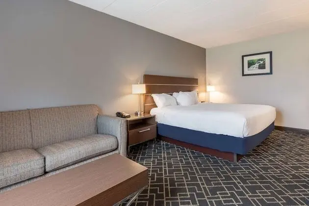 Standard Oda, 1 En Büyük (King) Boy Yatak, Sigara İçilmez, Dağ Manzaralı (Pet Friendly)