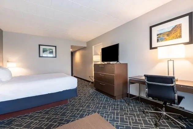 Standard Oda, 1 En Büyük (King) Boy Yatak, Sigara İçilmez, Dağ Manzaralı (Pet Friendly)