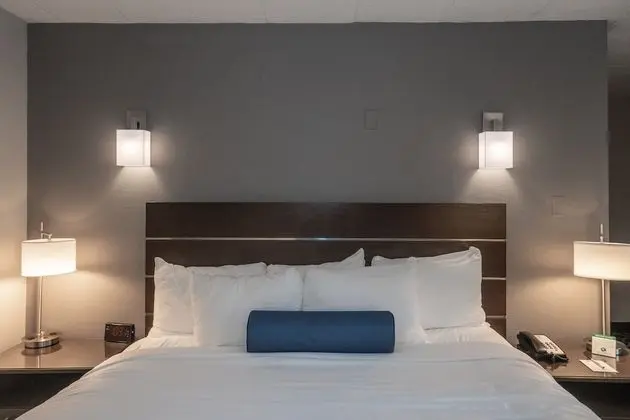 Standard Oda, 1 En Büyük (King) Boy Yatak, Sigara İçilmez, Dağ Manzaralı (Pet Friendly)