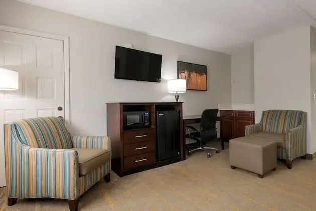 Süit, 1 En Büyük (King) Boy Yatak, Sigara İçilmez, Buzdolabı ve Mikrodalga (with Sofabed)