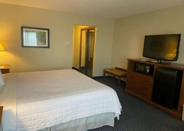 Standard Oda, 1 En Büyük (King) Boy Yatak, Engellilere Uygun, Buzdolabı ve Mikrodalga