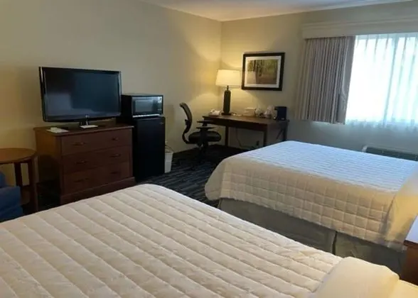 Standard Oda, 2 Çift Kişilik Yatak, Engellilere Uygun, Buzdolabı ve Mikrodalga