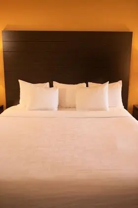 Standard Oda, 1 En Büyük (King) Boy Yatak ve Çekyat, Engellilere Uygun (with Sofabed)