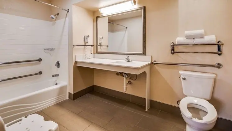 Standard Oda, 2 Büyük (Queen) Boy Yatak, Engellilere Uygun, Sigara İçilmez (Bathtub, No Pets)