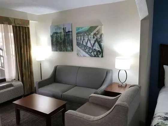 Süit, Birden Çok Yatak, Sigara İçilmez, Buzdolabı ve Mikrodalga (with Sofabed)
