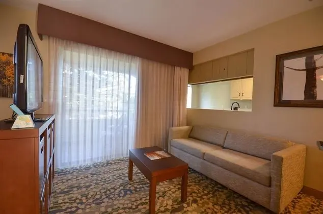 Süit, 1 En Büyük (King) Boy Yatak ve Çekyat, Sigara İçilmez, Küçük Mutfak (with Sofabed)