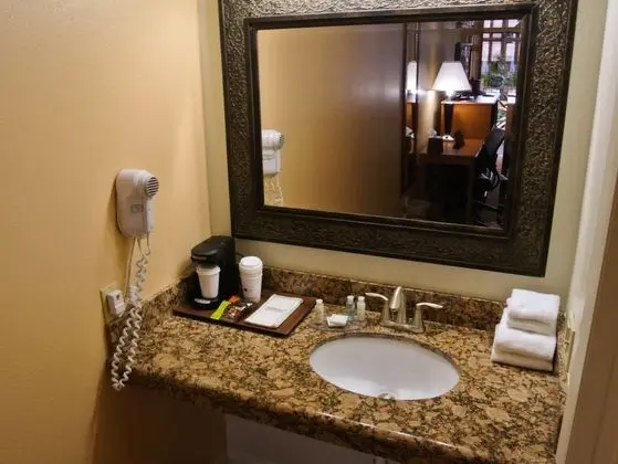 Standard Oda, 1 En Büyük (King) Boy Yatak, Engellilere Uygun, Sigara İçilmez (Bathtub)