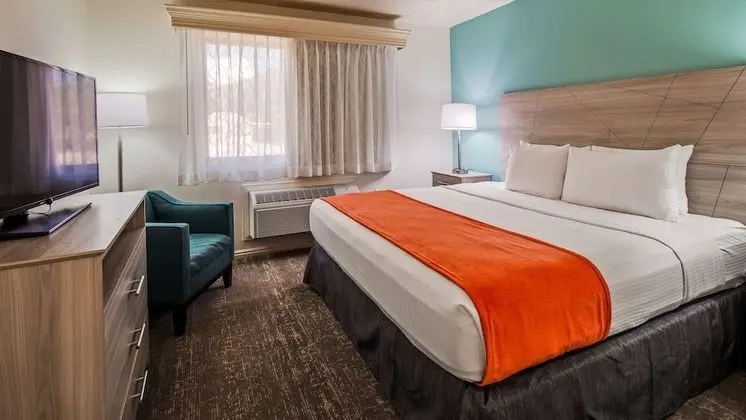 Standard Oda, 1 En Büyük (King) Boy Yatak, Sigara İçilmez, Buzdolabı ve Mikrodalga